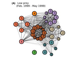Figure from Holekamp et al 2012.